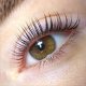 Close up of a brown eye with lifted lashes